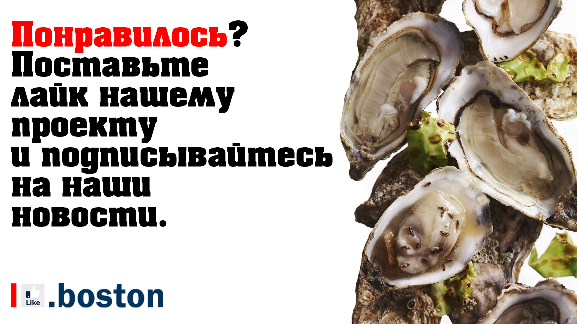 “Гарвардская тарелка”. Советы экспертов школы общественного здоровья ...